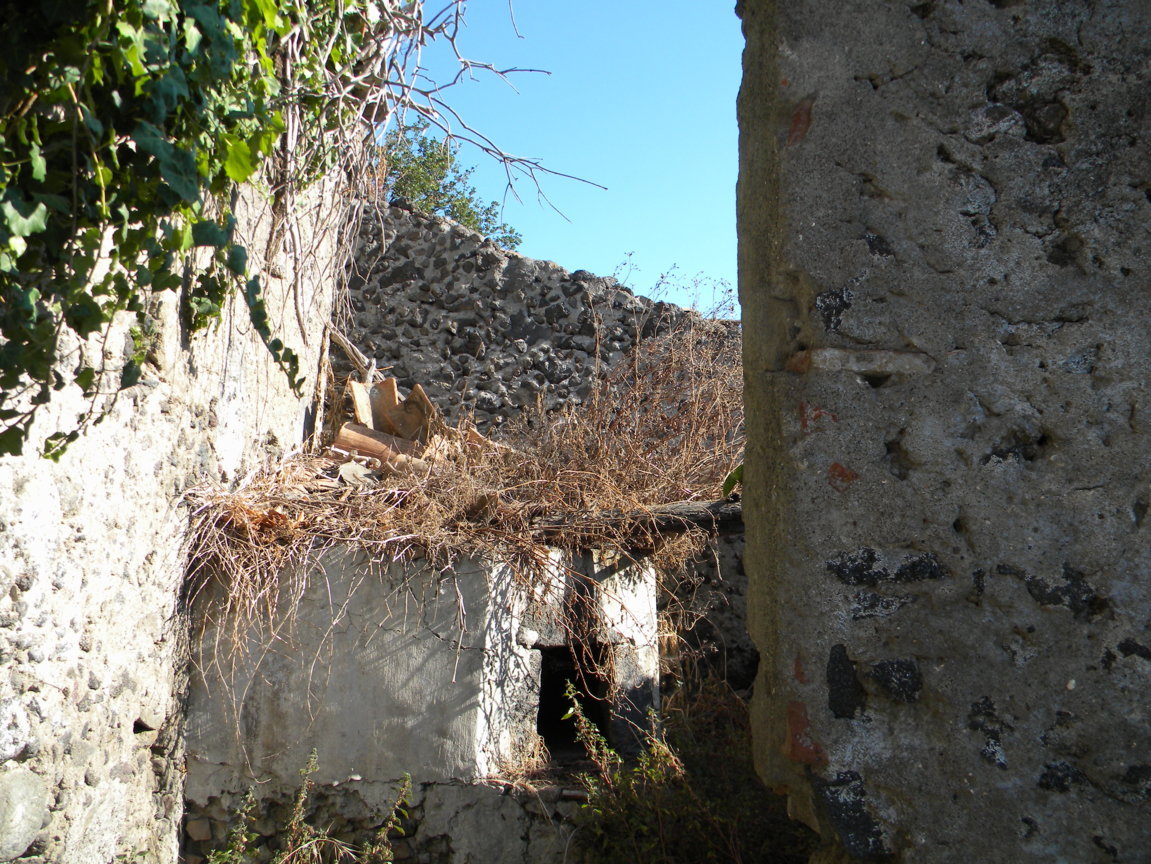 DSCN8123 .JPG